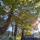 숲안경로당 이미지