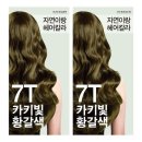 자연이랑 이미지