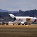 벨루가(Beluga) 이미지