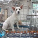 가락관광호텔 이미지