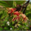 수일여자중학교 이미지