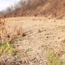 충북온천 이미지