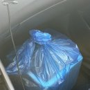 서부물산 | 광주 매월동 서부농수산물도매시장 명진물산에서 꽃게 구입 솔직후기