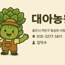 대아수퍼 네이버블로그