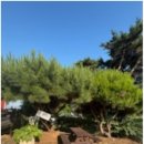 시간여행 펜션 이미지