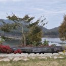 소나무카페(소나무관광농원) 이미지