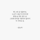 김토끼