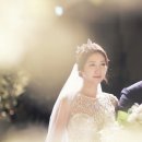 박시현골프 이미지