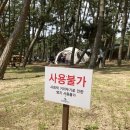 몽산포자동차야영장 이미지