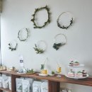 캔들바다 이미지