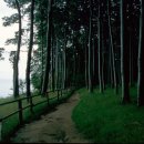 일상의 풍경+마음의 풍경 이미지