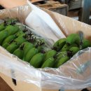 인원농장 이미지