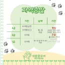 클로버 애견미용 이미지