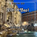 이탈리아 로마 가볼만한 곳 나보나 광장 / 로마 파스타 Pietro al Pantheon / 판테온, 트레비 분수 야경