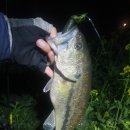 청도천9 이미지