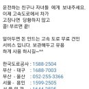 고속도로정보 이미지