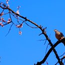 내난경로당 이미지