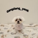 송내동3 이미지