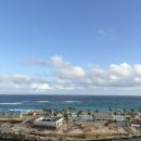 (주)해적아일랜드 | 로얄캐리비안 크루즈 바하마 기항지투어 돼지섬 &amp; 펄 아일랜드 추천 후기 🐷