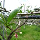 선아농장 이미지