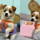 미소종합관리서비스 이미지