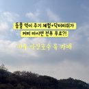 베르테라 이미지
