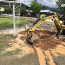 외서초등학교 이미지