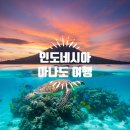 해양5로1L | 인도네시아 마나도 여행 가볼만한곳부터 전자세관신고서 작성법 마나도 여행 시기