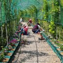 장승포체육공원 이미지