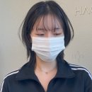 하올디자인 이미지