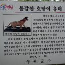 영광운수 Daum카페