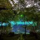 물빛-울림 이미지