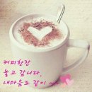 목깐통 Daum카페