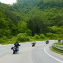 황금가든 이미지