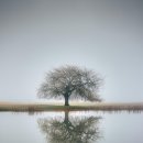 회신 윤동주 귀하 이미지