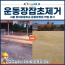 제물량로429번길 8-1 | 운동장잡초제거, 서울 장위초등학교 운동장정비 작업 후기