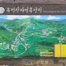 가평 유명산 산행 후기