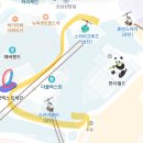 3월 2일 푸바오 오픈런 후기