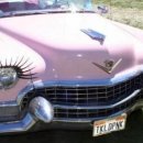 쌍둥이모터스 이미지