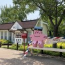 마음한줄 이미지