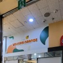 옐롱오렌지 - 종로구 필운대로 16-1 | 옐롱오렌지