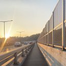 개나리아파트 놀이터 | 서울숲에서 응봉산 가기ㅣ개나리 축제 주말 후기