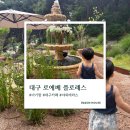 대구 로에베 플로레스 카페 후기｜아이와 함께 다녀온 감성카페