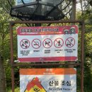 [가을 명소] 내장산 국립공원 케이블카 단풍여행 | 단풍실시간 | 절정 시기 | 우화정 | 내장사
