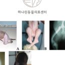 오산동물병원 이미지