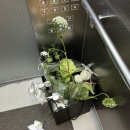 박*상 - 미추홀구 경원대로780번길 22 | 부산 셀프 백일상 후기!! (꽃집 하루나, 마음공방, 보보아이니)