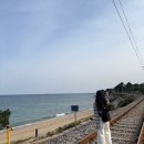 빈티지소극장 | 묵호혼자여행 뚜벅이 1일차 / 초당쫄면순두부, 하평해변, 한섬해변, 감추사, 어쩌다어달, 현상소카페...