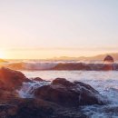 로즈마리차의 효능과 부작용 이미지