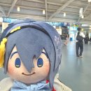 마이노짐(mynogym) | 도검난무와파라라이오타쿠의8월도쿄습격썰푼다