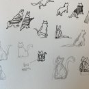 파란동물병원 | 컬러 타투 제거 6회차까지의 후기🎨 (우리성형외과+롤리팝성형외과)